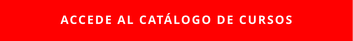 ACCEDE AL CATÁLOGO DE CURSOS